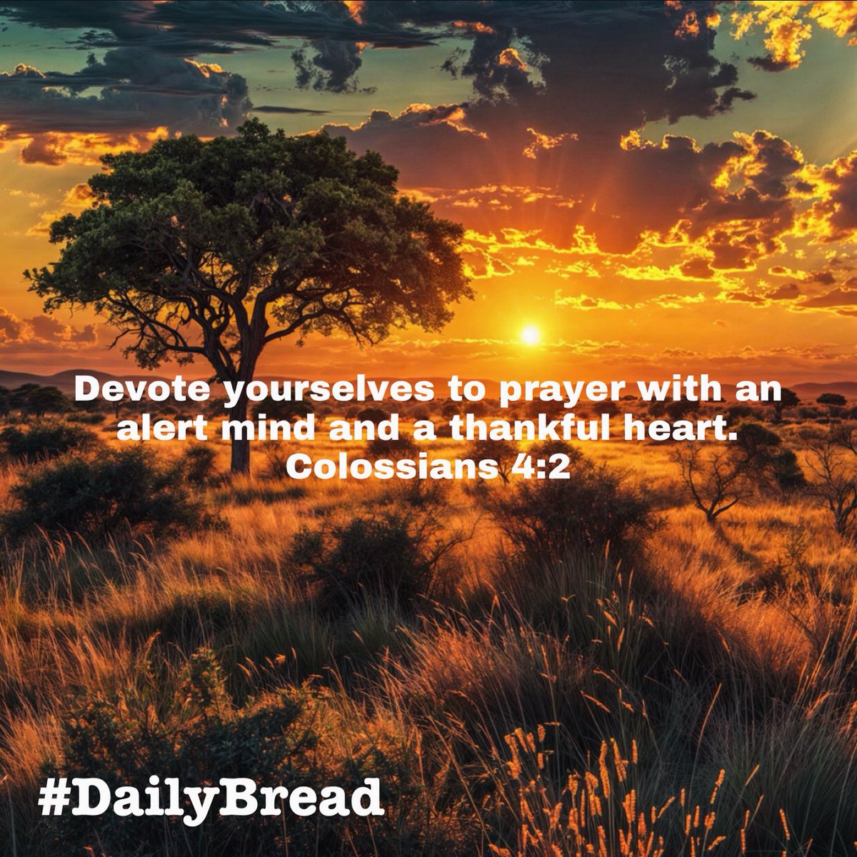 Devote yourselves to prayer with an alert mind & a thankful heart… 
#Colossians 4:2
#DailyBread #GodsPlan #ThankfulHeart #SpeakLife