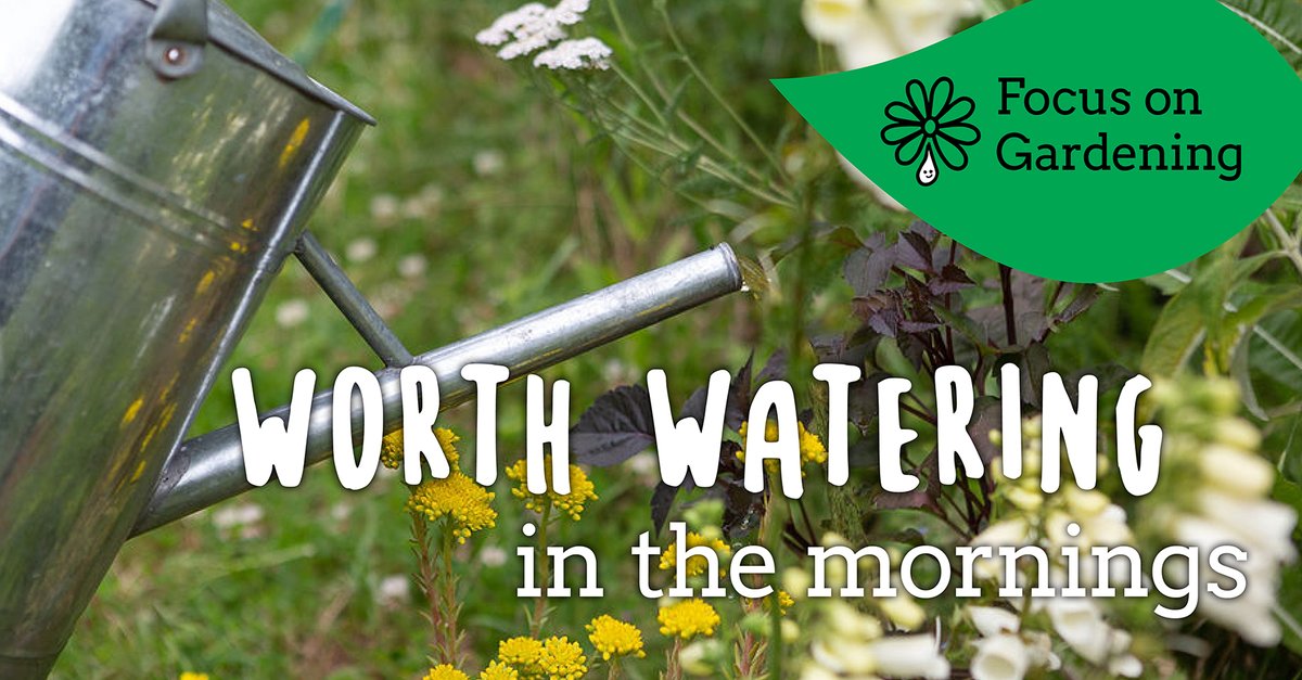 The morning is the best time to water your plants. This way you can make the most of your plants' abscisic acid, which reduces the amount of water lost. Check out our advice to get the most from your watering: watersworthsaving.org.uk/top-tips/garde… #NationalGardeningWeek #WatersWorthSaving