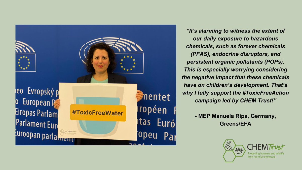 “It’s alarming to witness the extent of our daily exposure to hazardous chemicals, such as forever chemicals (PFAS), endocrine disruptors...” MEP @RipaManuela on why she’s supporting #ToxicFreeWater and a #ToxicFreeFuture Read more ➡️ buff.ly/3xIDcOX