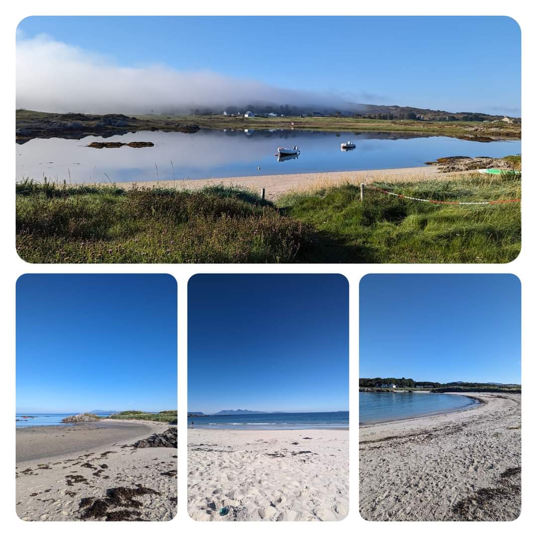 Lizzie Spikes tweet media