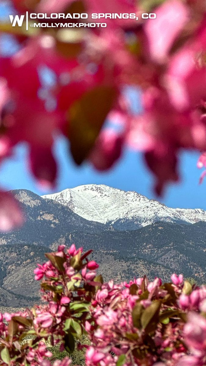 Happy spring from over 6,000 feet in elevation! It's been a lovely few days in the Centennial state! 🌸
#COwx