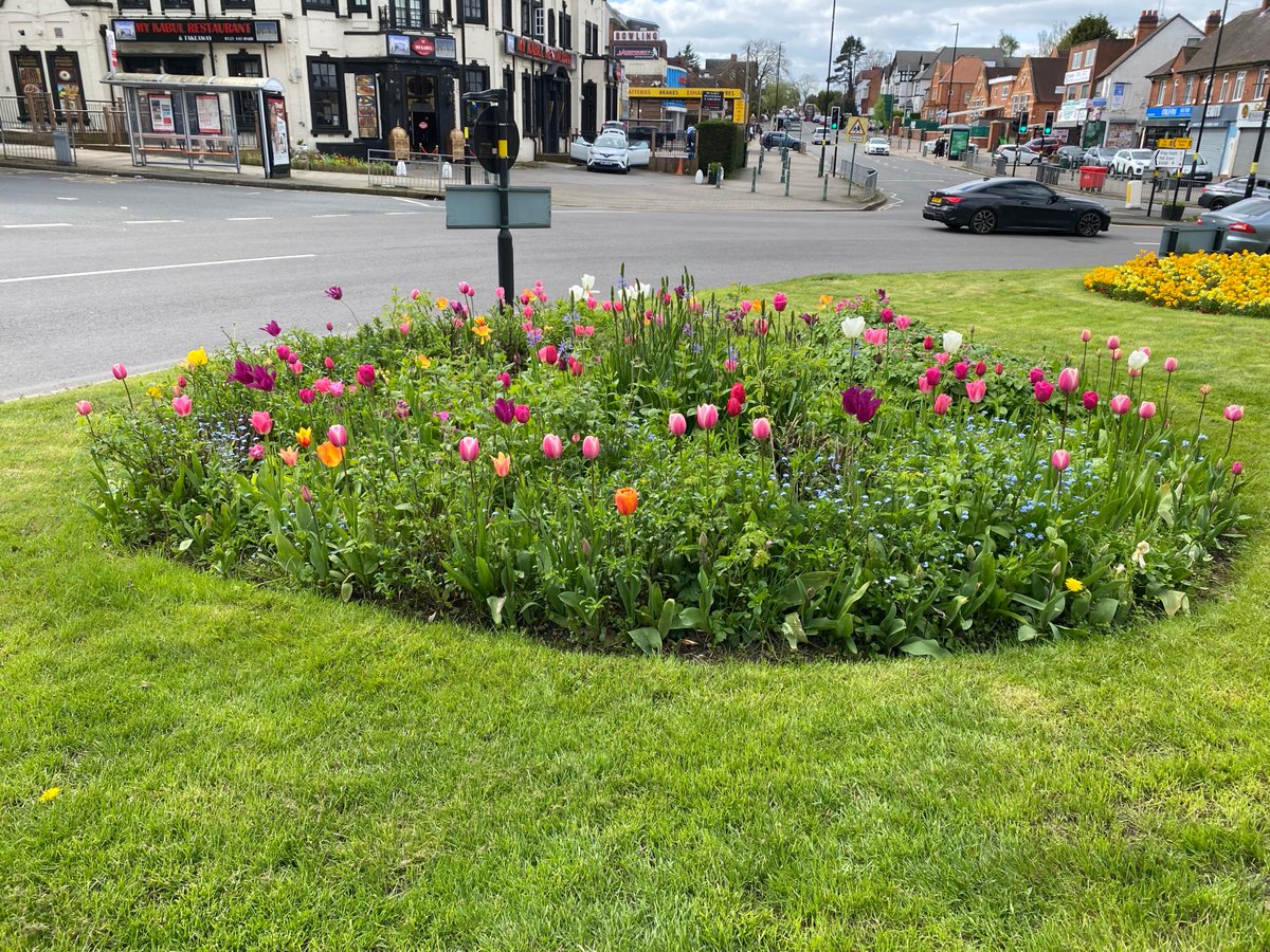Our festival of the year reminder for Saturday 4th May -  Band Acoustica will background a beekeeper, seed sowing, face painting and lots of stalls. We would not have bloom in our title if we did not sell lots of plants - vegetable and flowers - see our tulips as well