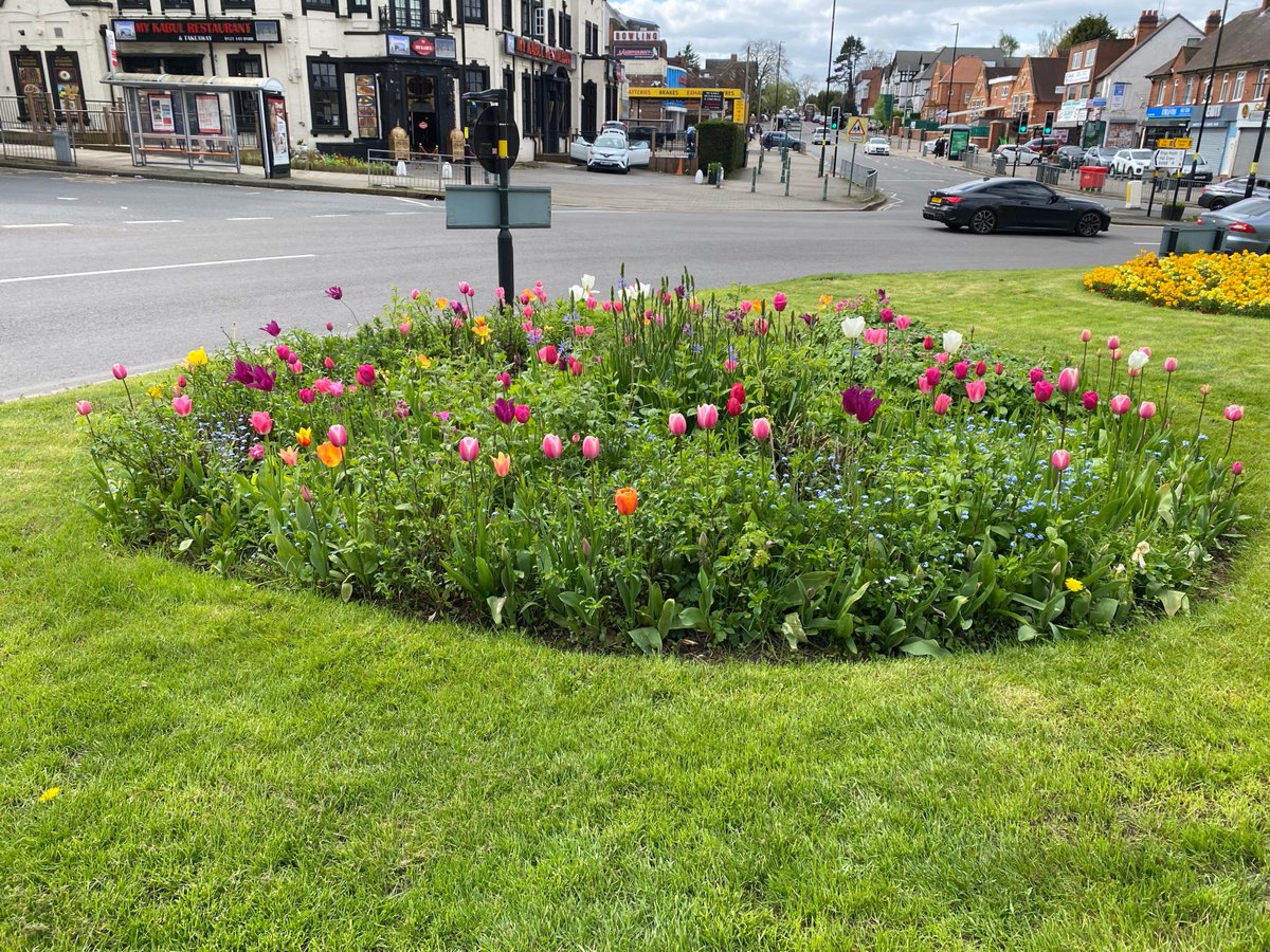 Our festival of the year reminder for Saturday 4th May - Band Acoustica will background a beekeeper, seed sowing, face painting and lots of stalls. We would not have bloom in our title if we did not sell lots of plants - vegetable and flowers - see our tulips as well