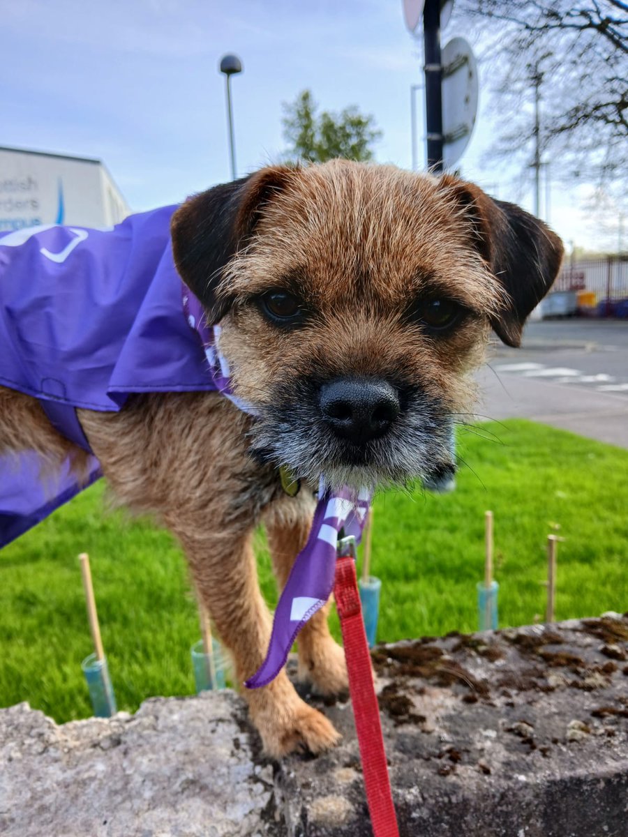 Borders College are striking today at the Galashiels Campus to send a clear message; fund fair pay and protect jobs in Further Education #FightingforFE #DogsOnPicketLines