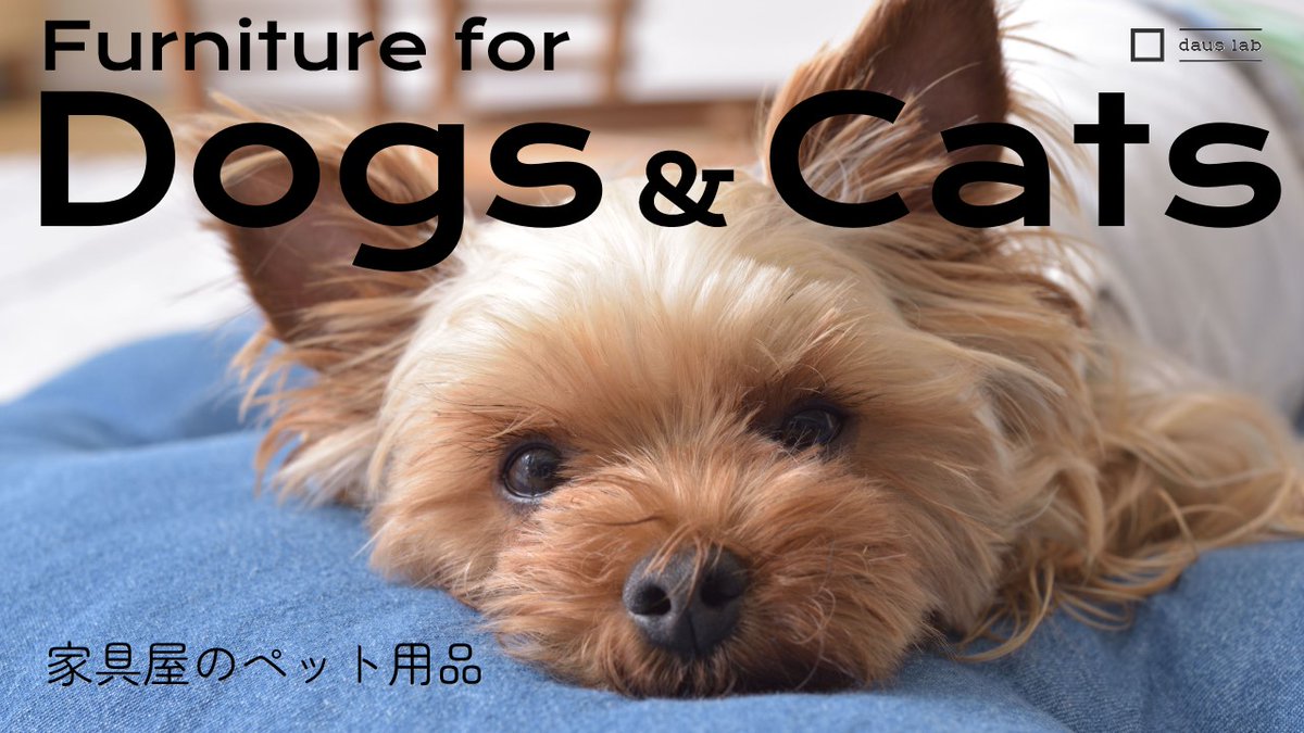 こだわりインテリアのペット用品
youtu.be/rxoCUjTZOnU

#livingroomdesign #犬 #猫 #ペット #家具 #インテリア #インテリアショップ #ショップクルーズ #ペットのおうち #ペットハウス #ペットベッド #ペットスツール #japandi