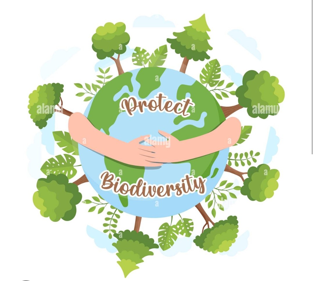 Our TY sustainability class has organised a litter pick up in Tymon Park on 08/05. Litter is a real threat to biodiversity and is a huge contributor to climate change. Litter is detrimental to our natural world as it can pollute our seas and oceans.#sustainability #ClimateCrisis