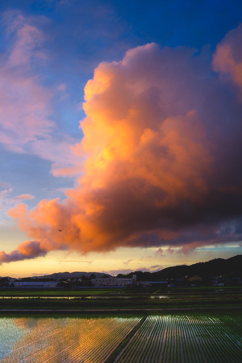 夕日に染まる雲