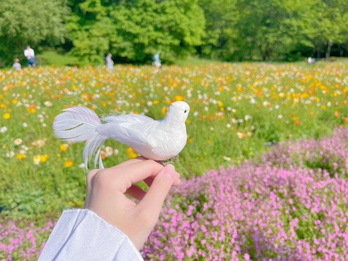 Twitterのコスプレ画像32