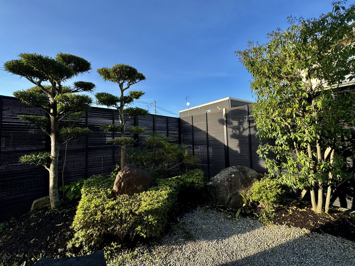 We've not had the best of weather in Japan but today Kagawa was bright, this bit of the garden perked up and the temperature was in the low 20s.