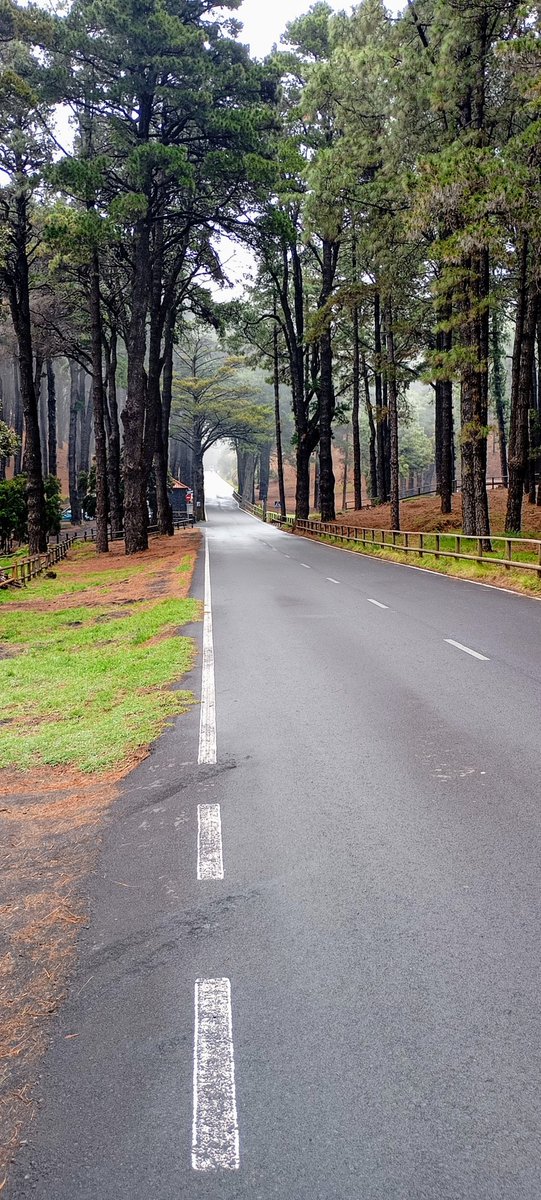 Refugio del Pilar,El Paso 
#lapalma @Lost_in_laPalma <a href="/EncantoPalmero/">Encanto Palmero</a> <a href="/EmocionesCan/">Emociones Canarias</a> #Enjoy area