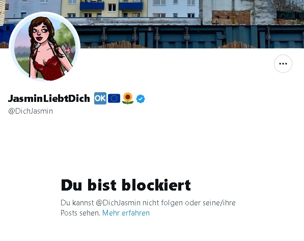 Mein Wertekompass besteht vorallem aus zwei Grundsätzen. 1. 'Was würde Jean-Luc Picard tun?' 2. 'Verhalte dich so, dass du von Puff-Lobbyisten, die sich online als Happy-Prostituierte ausgeben, blockiert wirst.'