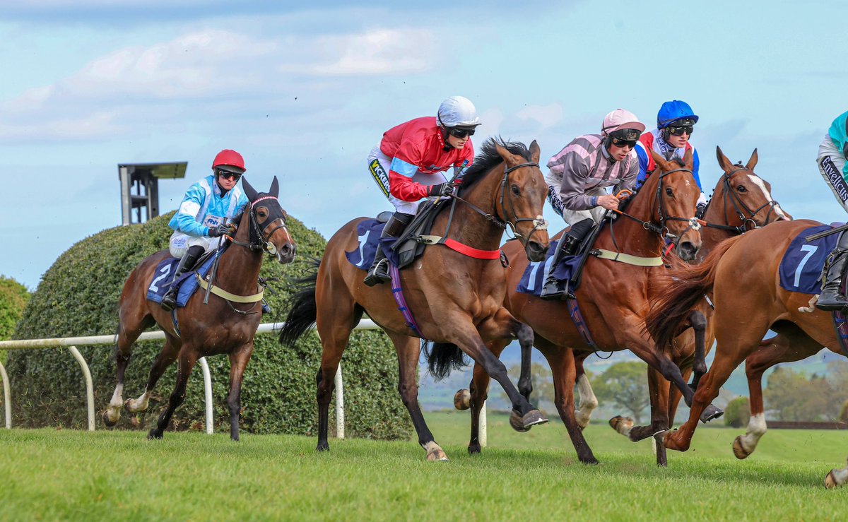 Big fields and an extra race on Saturday Evening!

1st of 8 Races now 4:25pm, Gates Open at 2:30pm.

Field sizes: 7, 13, 12, 6, 12, 11, 10, 16

#ComeRacing