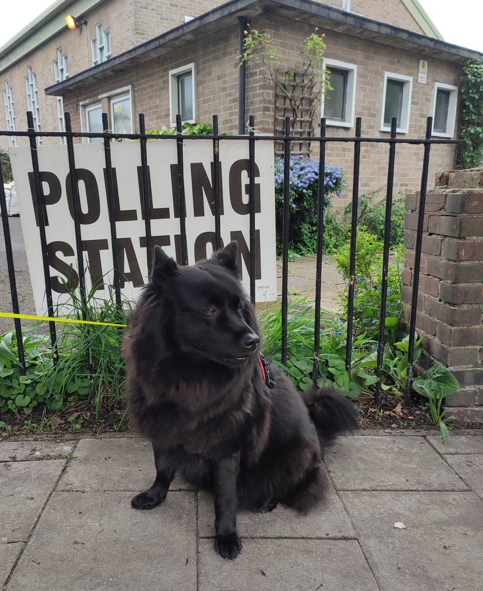 🐺 says get the vote out for the London elections #DogsatPollingStations