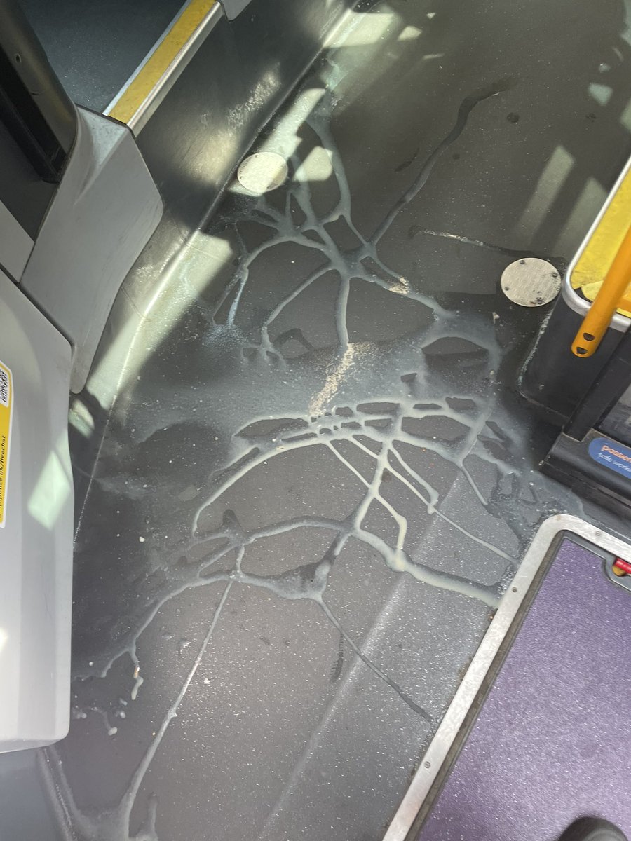 halcyonmornings's tweet image. Think someone’s got a bit too excited on 6162 @BeeNetwork