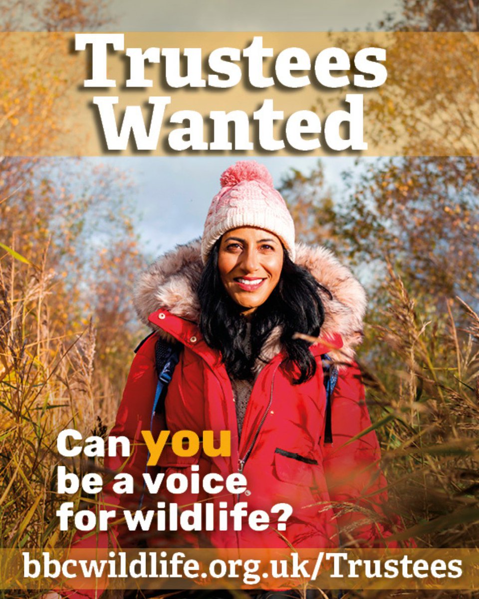 Are you passionate about people, wildlife and wild spaces? We're looking for four new Trustees, including one Young Trustee. No previous experience necessary. Help us work for a wilder future and connect our communities to nature on their doorstep: bbcwildlife.org.uk/Trustees