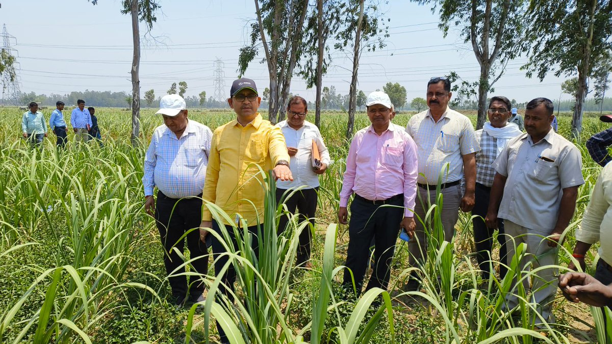 उपगन्ना आयुक्त बरेली द्वारा गन्ना विकास परिषद पीलीभीत के ग्राम कुकरीखेड़ा मे गन्ना सर्वे का निरिक्षण किया गया l उपस्थित किसानो को पेड़ी प्रबंधन, कीट व्याधि प्रबंधन, सिंचाई एवं खरपतवार नियंत्रण के सम्बन्ध मे जानकारी दी l