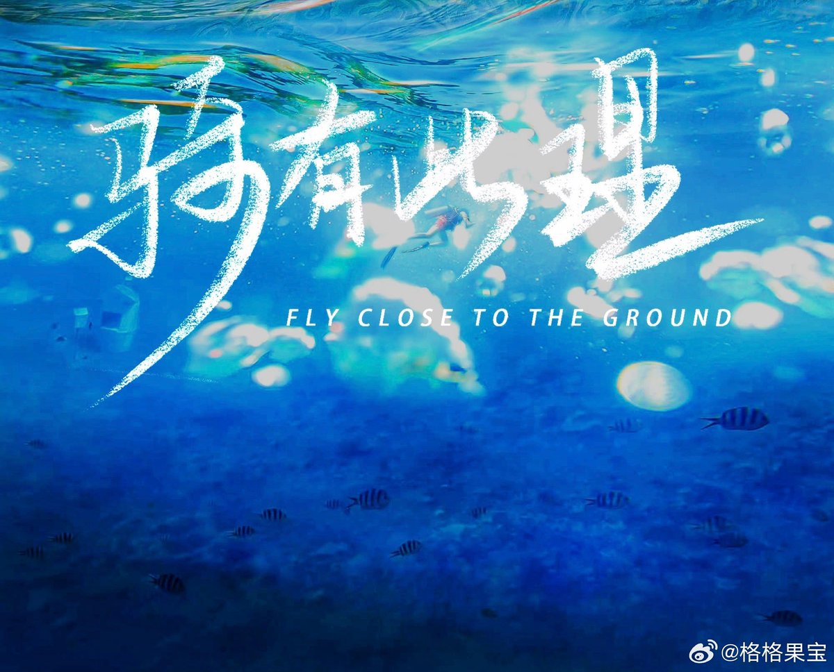 Candy_waa's tweet photo. For the one with thalassophobia ,It is not easy to overcome his fear. I can't wait to watch how you fight☺️💚
#WuLei #RideNow #FlyCloseToTheGround https://t.co/BWysW6nhBG
