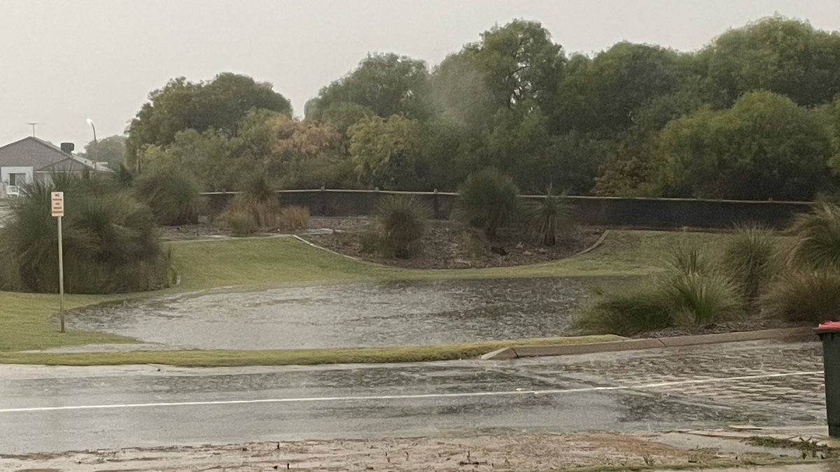 kr_1973's tweet image. This is where my young bloke usually kicks the footy 
#PerthWeather