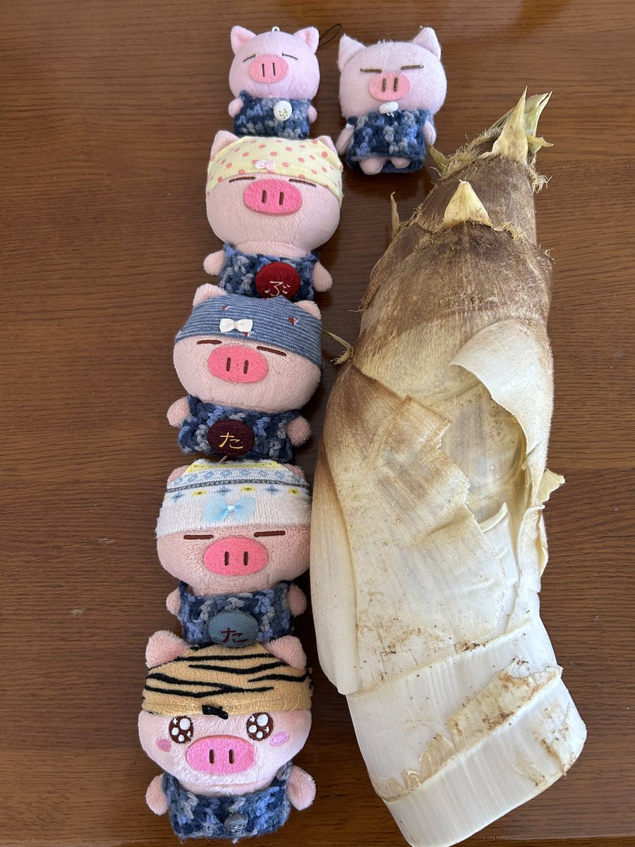 osafWikmbb5VVnK's tweet image. 【ぱんてー団記念日】

今日はぱんてー団記念日だよ🐽

ぱんてー団の皆さんおめでとう🐽

今年もたくさんのぱんてー団に会えるといいなぁ🐽

秘密工房でもいろんな活動してたんだ🐽
美味しいものを食べたり、お出かけしたり🐽

今年もぱんてー団の一員として活動
がんばるぞ🐽

#ぶたた
#ぱんてー団