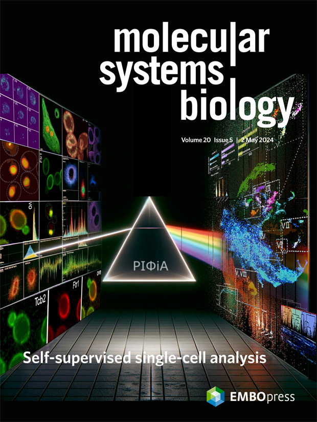 05/2024 Issue➡️embopress.org/toc/17444292/2… Population dynamics in soil, #rarevariant annotation, duplicate protein #evolution &interaction networks, E.coli RNA-protein interactions... Cover: Self-supervised protein functional annotation from #SingleCell data @DonnellyCentre @UofT