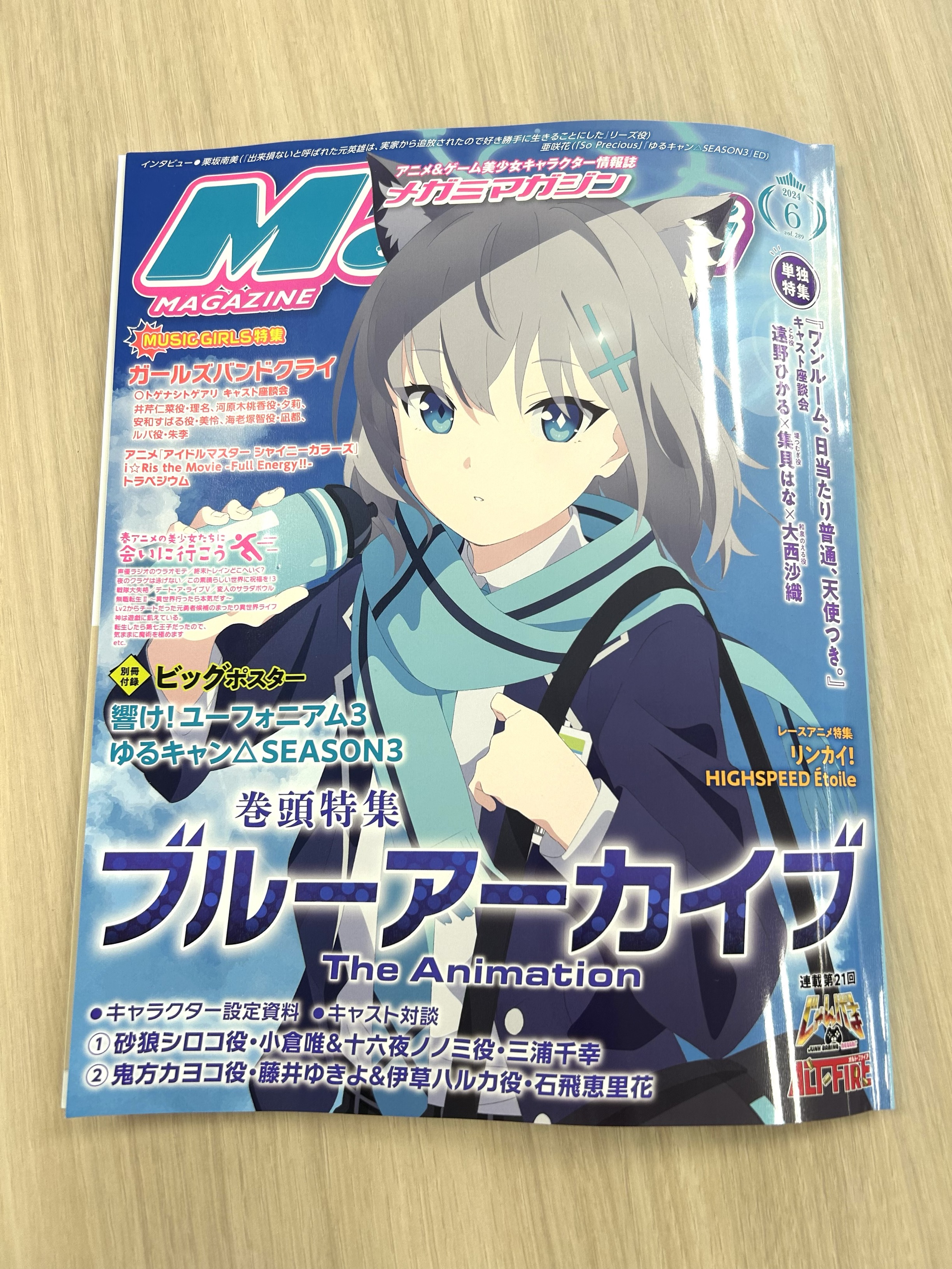 PO-04 ポスター メガミマガジン付録 D.C.S.S. ~ダ・カーポ PO-04 ポスター メガミマガジン付録 D.C.S.S. ~ダ・カーポ