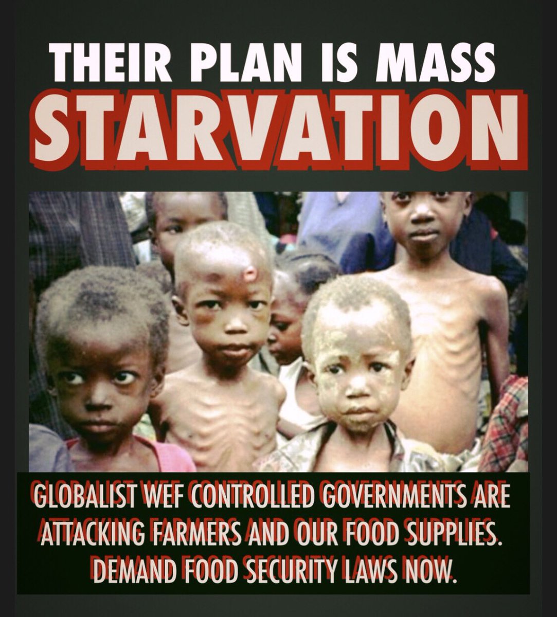 The Plan is Mass Starvation! Globalist WEF UN WHO controlled governments are attacking farmers and our food supplies. Demand an end to geoengineering. Demand an end to Agenda 2030 & the climate scam. Demand that traitor politicians & media be arrested for treason! #agenda20230
