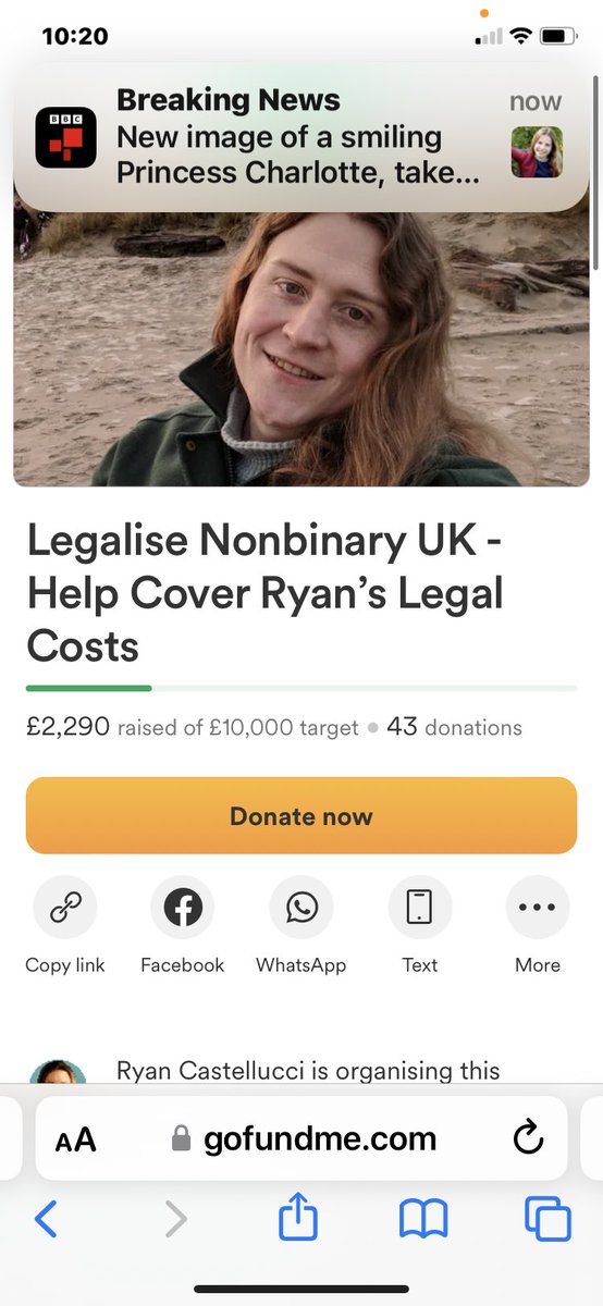 American Ryan Castelluci, now living in the UK, is crowdfunding to enable they to appeal a high court judgement against they, after a Gender Recognition panel denied they a non-binary GRC. Them’s represented by @LeighDay_Law 😶