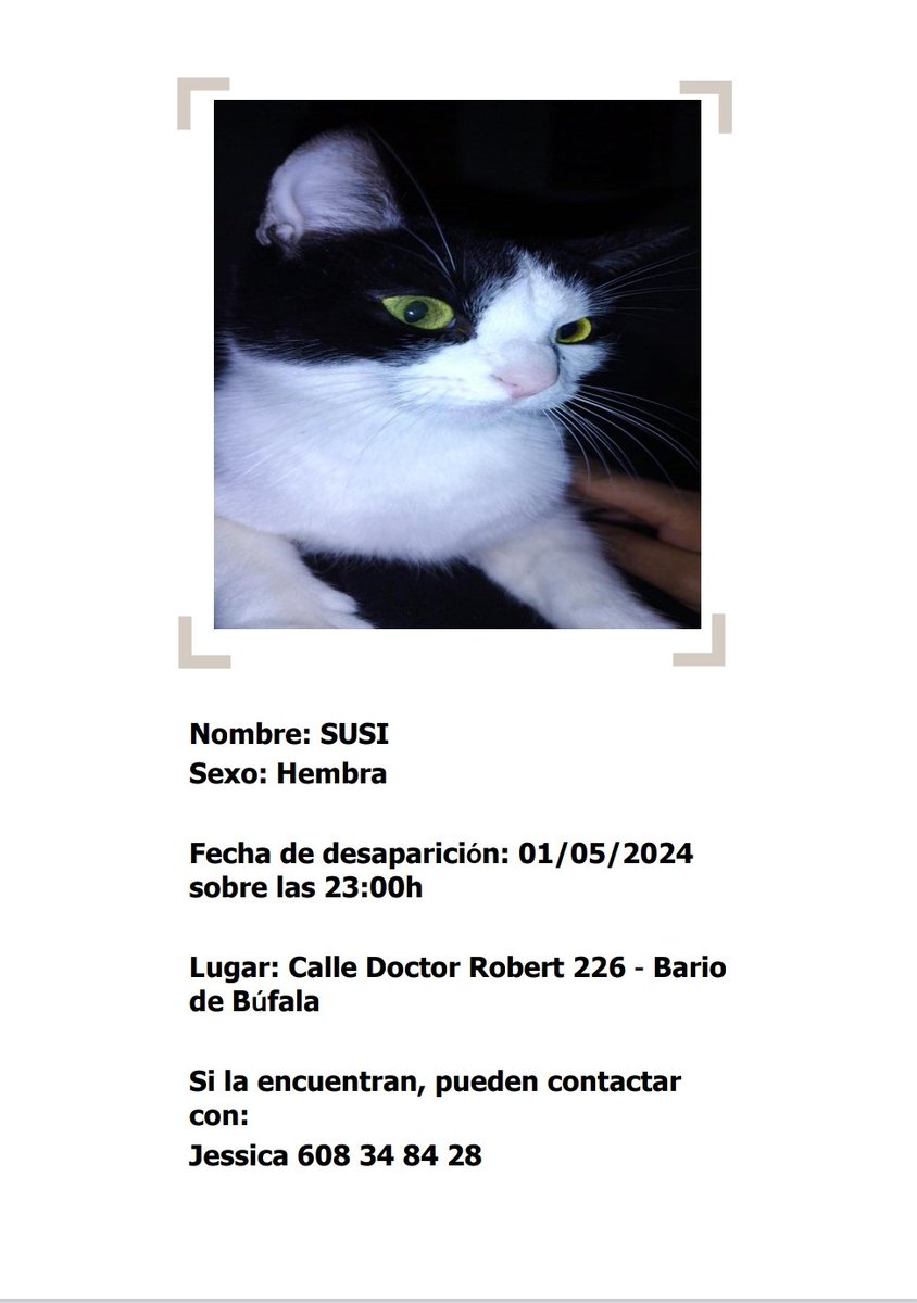 areagossosbdn's tweet image. 🆘🆘¡¡ATENCIÓN!!🆘🆘
SUSI se ha perdido en el barrio de #Bufala, zona calle doctor Robert. 
#Badalona
Cualquier información:
Jessica 📞608 34 84 28
Rogamos máxima difusión
📣📣📣📣📣
#XarxaBarcelonaPerduts