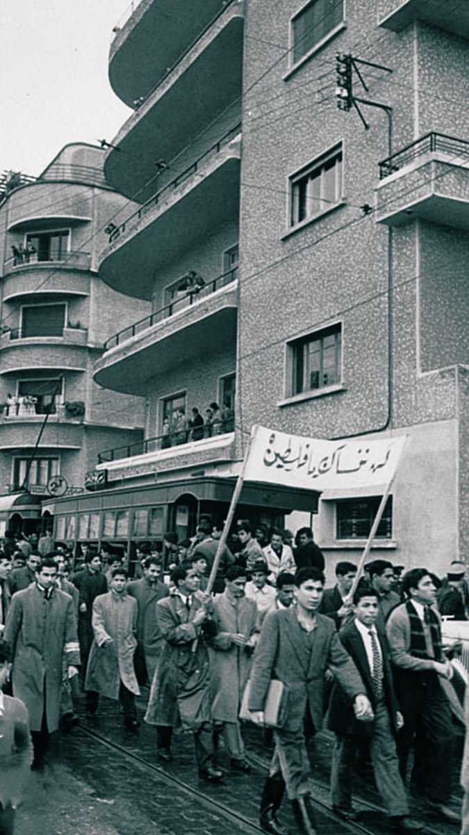 📍بيروت 1953 🇱🇧 
'لن ننساكِ يا فلسطين' 🇵🇸