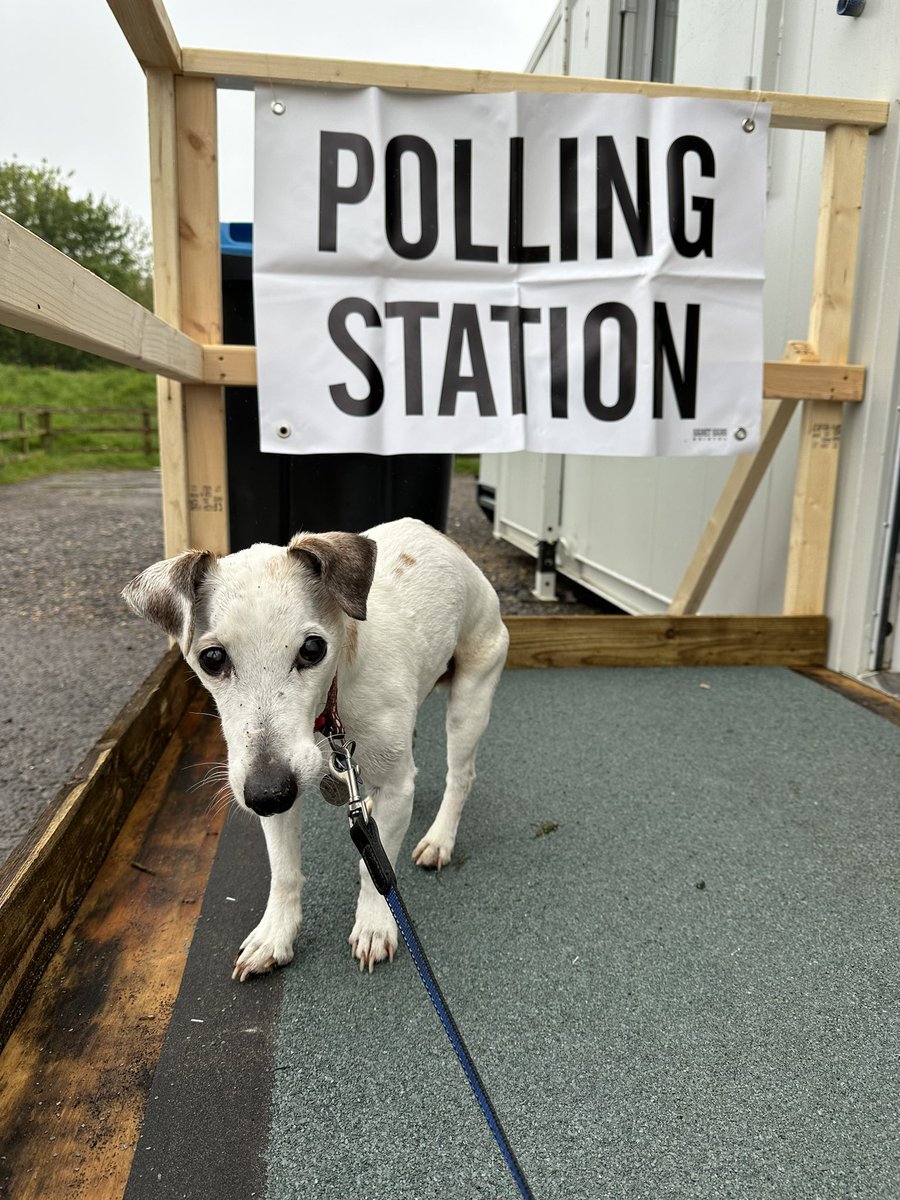 Every time we do this I think it’s going to be the last time….18 years of George coming to vote with me #dogsatpollingstations #BCP