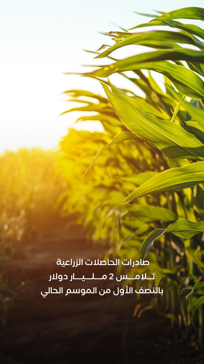 السعودية أكبر مستورد للحاصلات الزراعية من مصر بقيمة 214 مليون دولار 