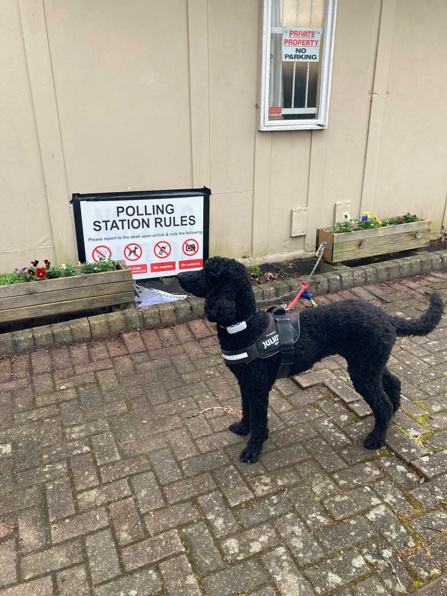 It’s #dogsatpollingstations day people! Don’t forget to vote and remember your photo ID! #MayoralElection2024