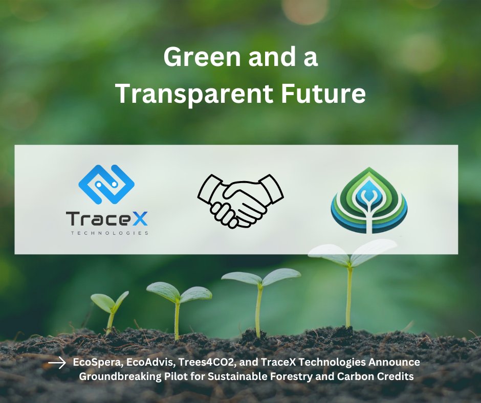 Exciting news! @EcoSpera, EcoAdvis, Trees4CO2, and @tracex_tech partner for a groundbreaking pilot in #sustainableforestry and #carboncredits. Leveraging innovative tech for #transparency and #traceability in carbon credit management. 

#Sustainability #CarbonNeutral