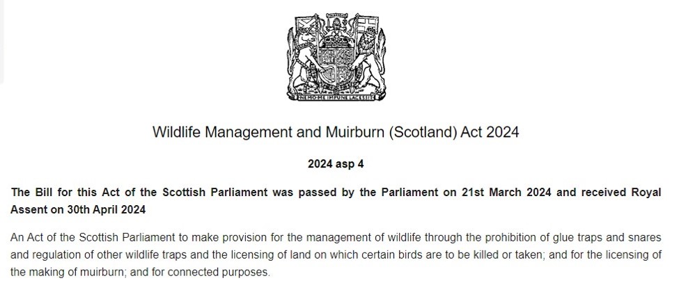 Wildlife Management & Muirburn Bill receives royal assent. Good news! Altho absurdly, if the police want to search the king's grouse moors for suspected wildlife crime they first need the consent of someone appointed by, er, the king! New blog⬇️ raptorpersecutionuk.org/2024/05/02/wil…