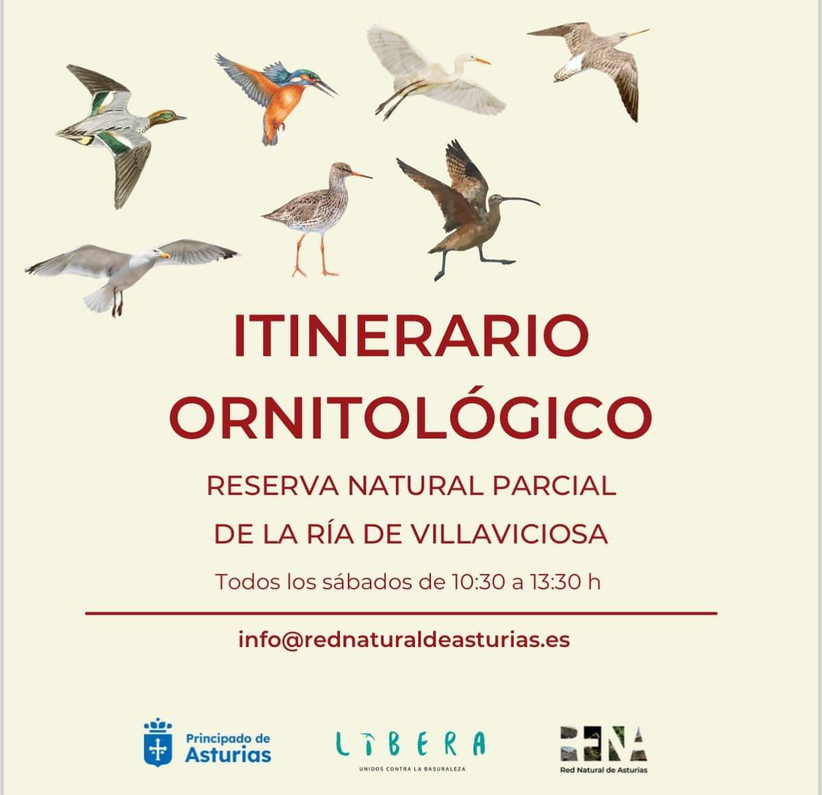 Recuerda que puedes disfrutar de los itinerarios guiados en la #RedNaturaldeAsturias: ➖Ruta guiada por los miradores de Obacho en el Parque Natural de las Fuentes del Narcea, Degaña e Ibias 📍Centro de Interpretación de Muniellos 🗓️Todos los sábados 🕑16:30 h, reserva previa…