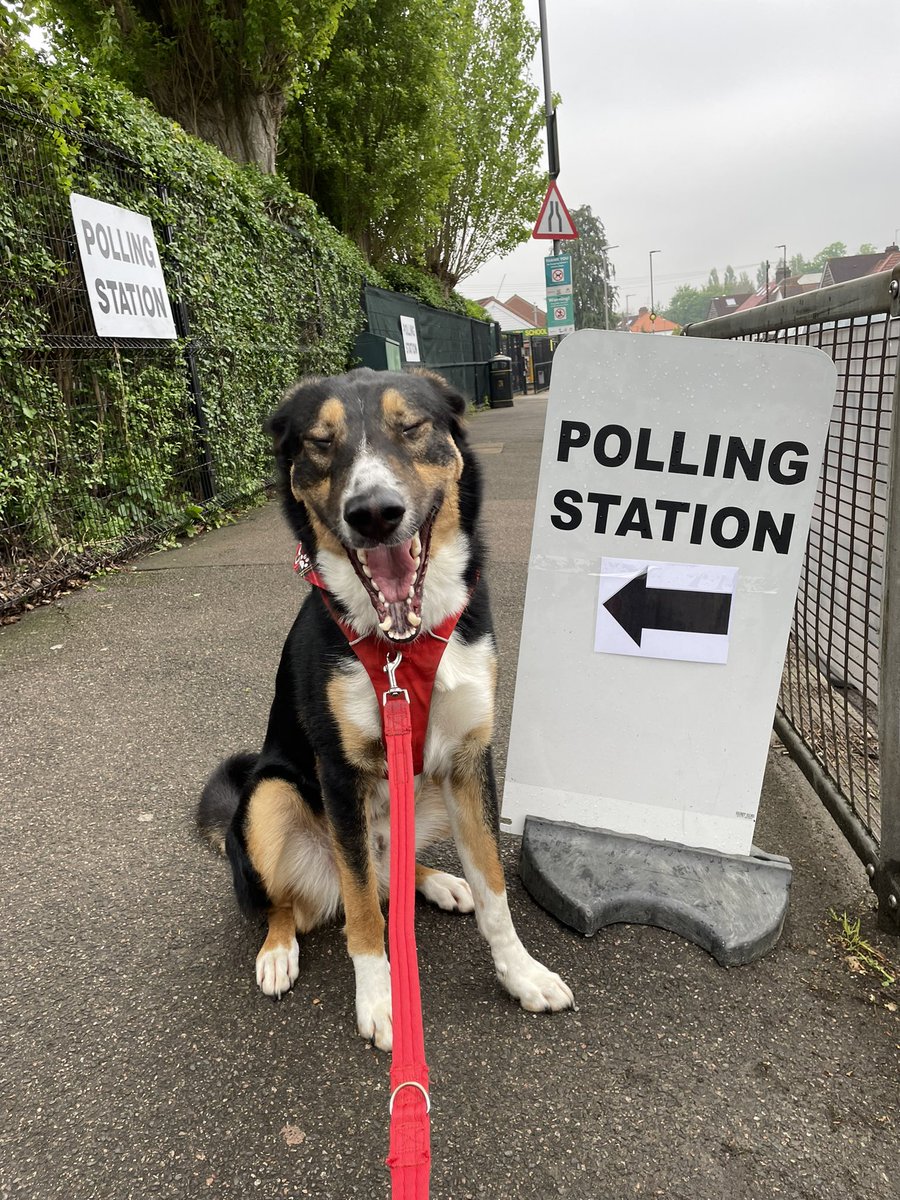 Greek rescue Larry thinks this whole #dogsatpollingstations things is a bit funny!