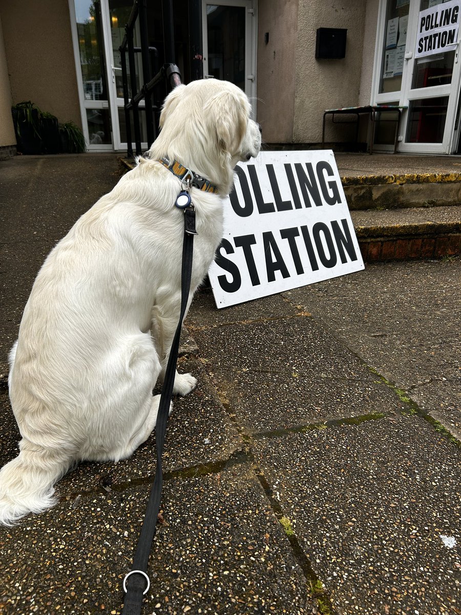 I’ve voted and Monty is upset he didn’t get to go in and cast a paw print #DogsAtPollingStations