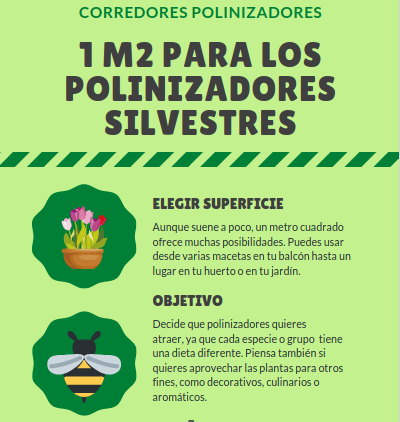 La @asociacionanse tiene 10 propuestas para montar un jardín de polinizadores en solo un metro cuadrado.

Vía @MonteroQuercus al que no se le escapa una. asociacionanse.org/proyectos/poli… Descarga guía --> asociacionanse.org/download/96/