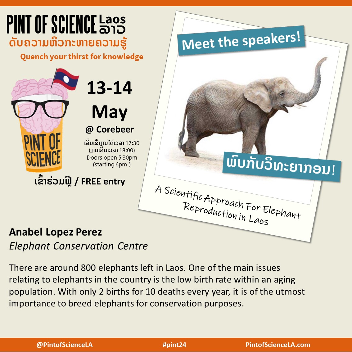 Around 800 elephants are left in Laos. The main issue is the low birth rate and an aging population with only 2 births for 10 deaths yearly. Learn about the importance of breeding elephants for conservation purposes with Anabel at #PintofScienceLA #pint24 #pint24LA