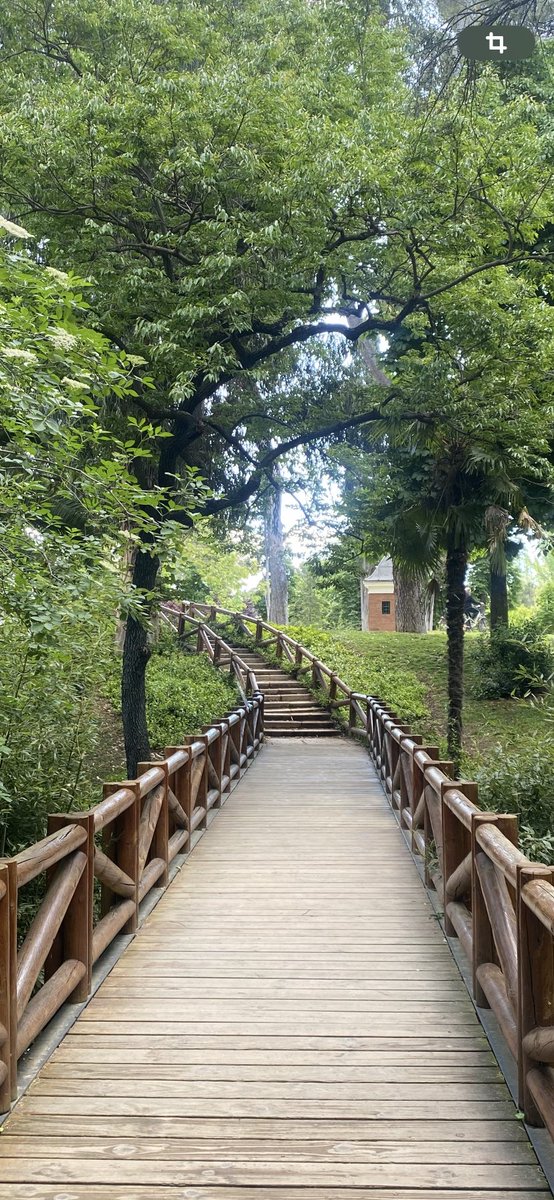 Felicidades a todos los madrileños ! Mi mejor lugar para celebrarlo es siempre el RETIRO de Madrid 😍 Bonito día para todos 🙌🎶🎶