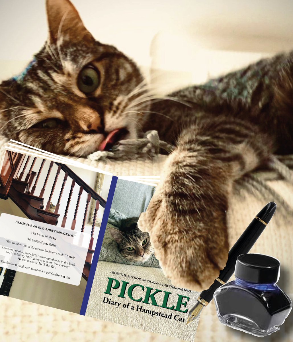 Thank you so much @PickliciousF and @JaneFallon for this week's brilliant book signing! Everyone who requested a signed copy, your book will be posted today. 😺🐾📘🙏 #PickleDiary All profits to @FelineFriendsUK & @AllDogsMatter 😺🐶