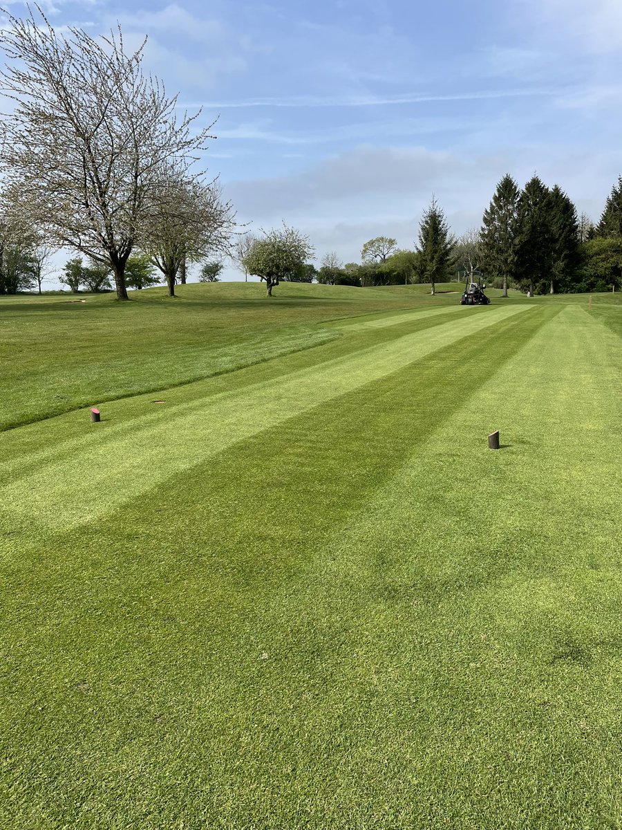 @Adi14 the last 3 times tees have been cut I’ve done it & double cut it ✅ sorry to steal the show @LeeDelceppo and take the delceppo limelight 🤣get back in your place and at the back of the line 😉#greenkeeper #golf