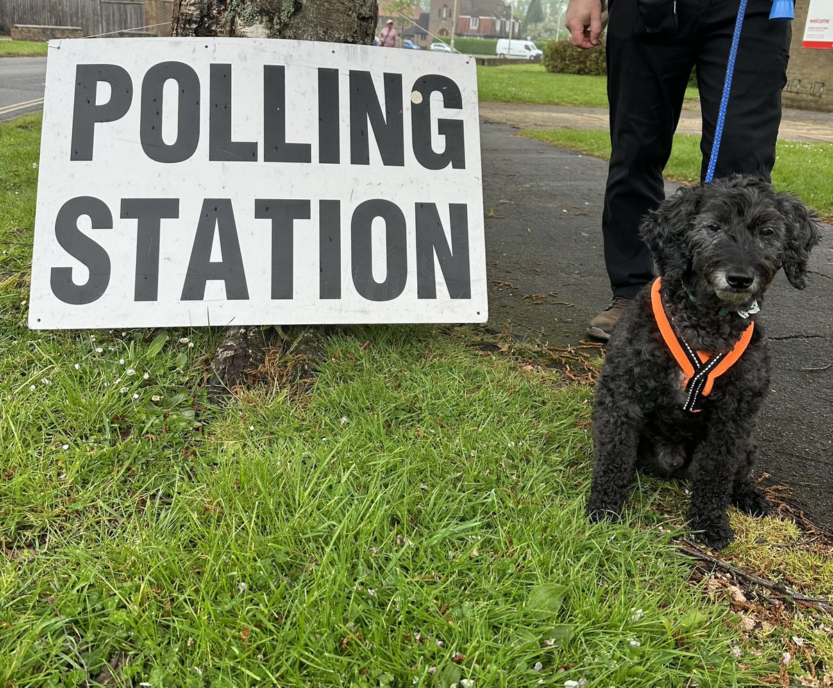 SpotSonny's tweet photo. I have taken mum &amp; dad to voting today! #dogsatpollingstations https://t.co/7YinWfd9fw