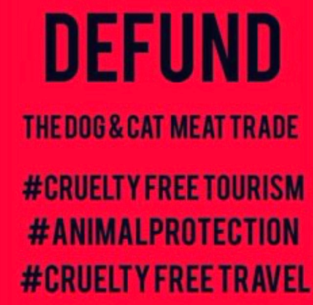 BAN BARBARIC Dog & Cat Meat Trade #StopYulin 
#OutlawDogAndCatMeaTrade #Cambodia #Indonesia #Vietnam #China #Africa #SEAsia
#StopAnimalTraffickers
#BanLiveAnimalMarkets
#Covid_19 
#AnimalProtection
#Karma
@MFA_China2
@hunsencambodia 
@VNGovtPortal 
@jokowi 
@_AfricanUnion 
@UN