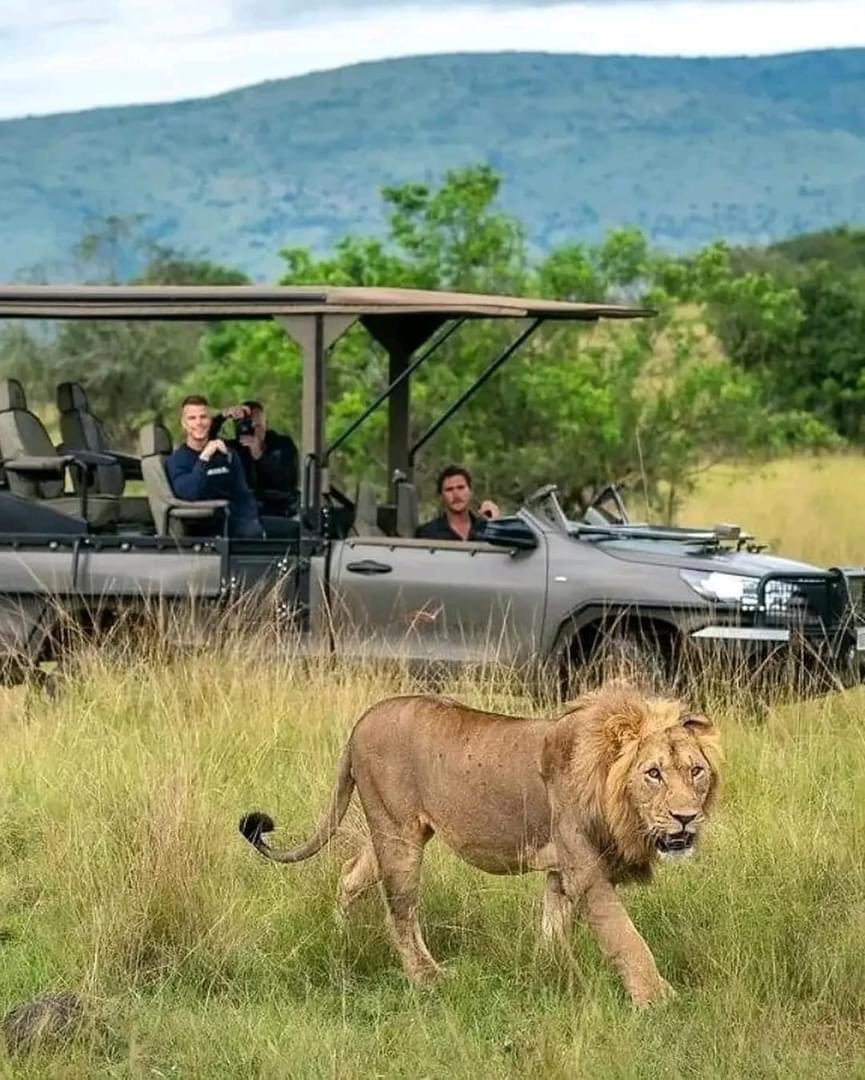 Discover safari sightings, the likes of which are rarely seen. 

A destination where vast herds roam freely and the pulse of the wild beats strongest. 

This is a truly special place; a unique, unspoiled habitat, and a land that is known only to the very best safari gurus.