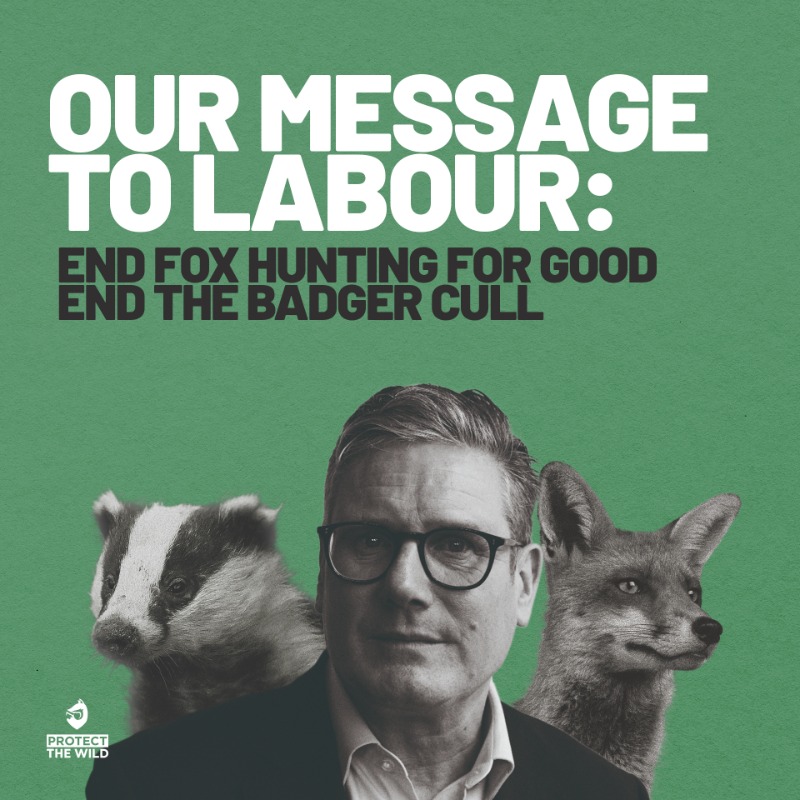 It really is quite simple, for the sake of wildlife please stick to your word Labour!

@Keir_Starmer @SteveReedMP