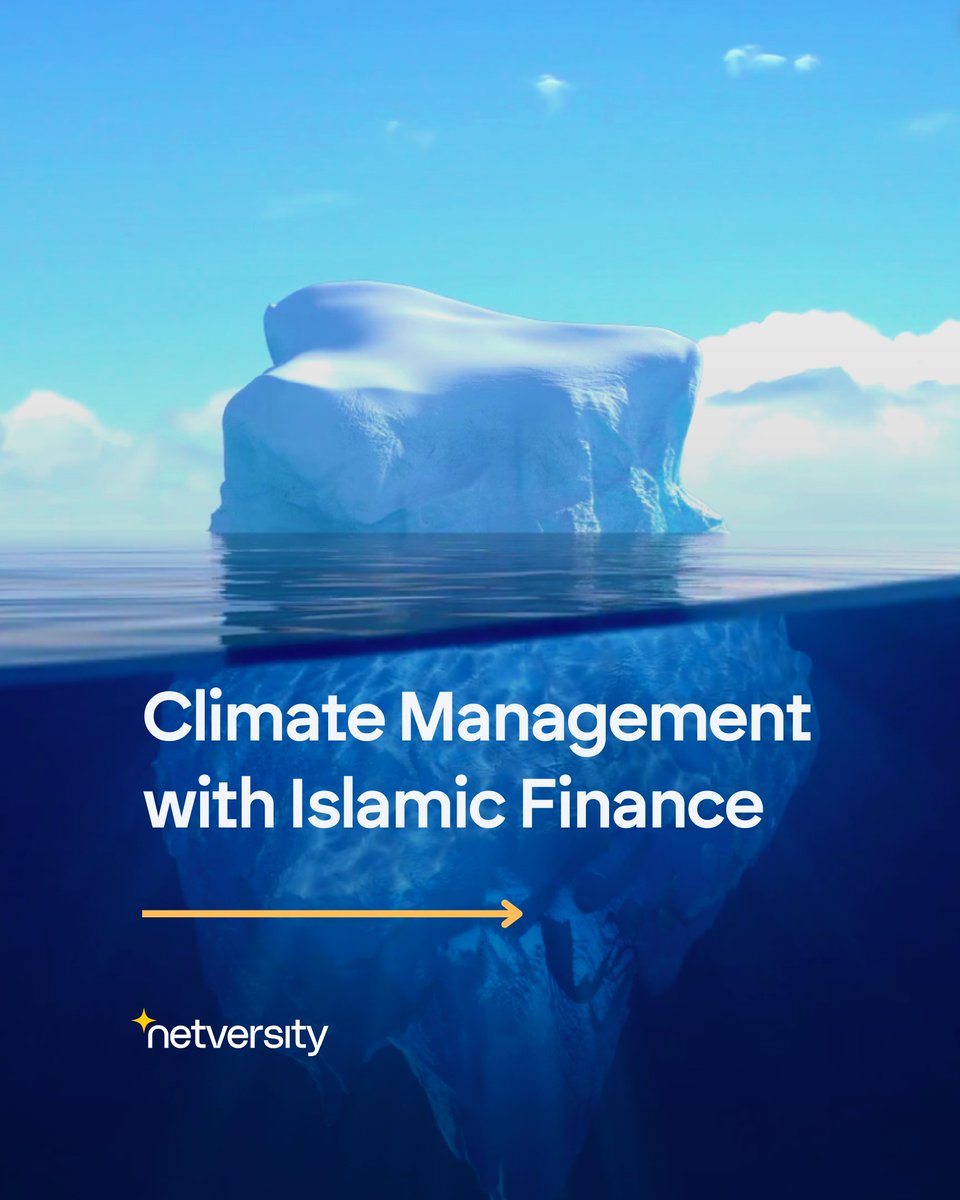 IBF Net Group tweet media