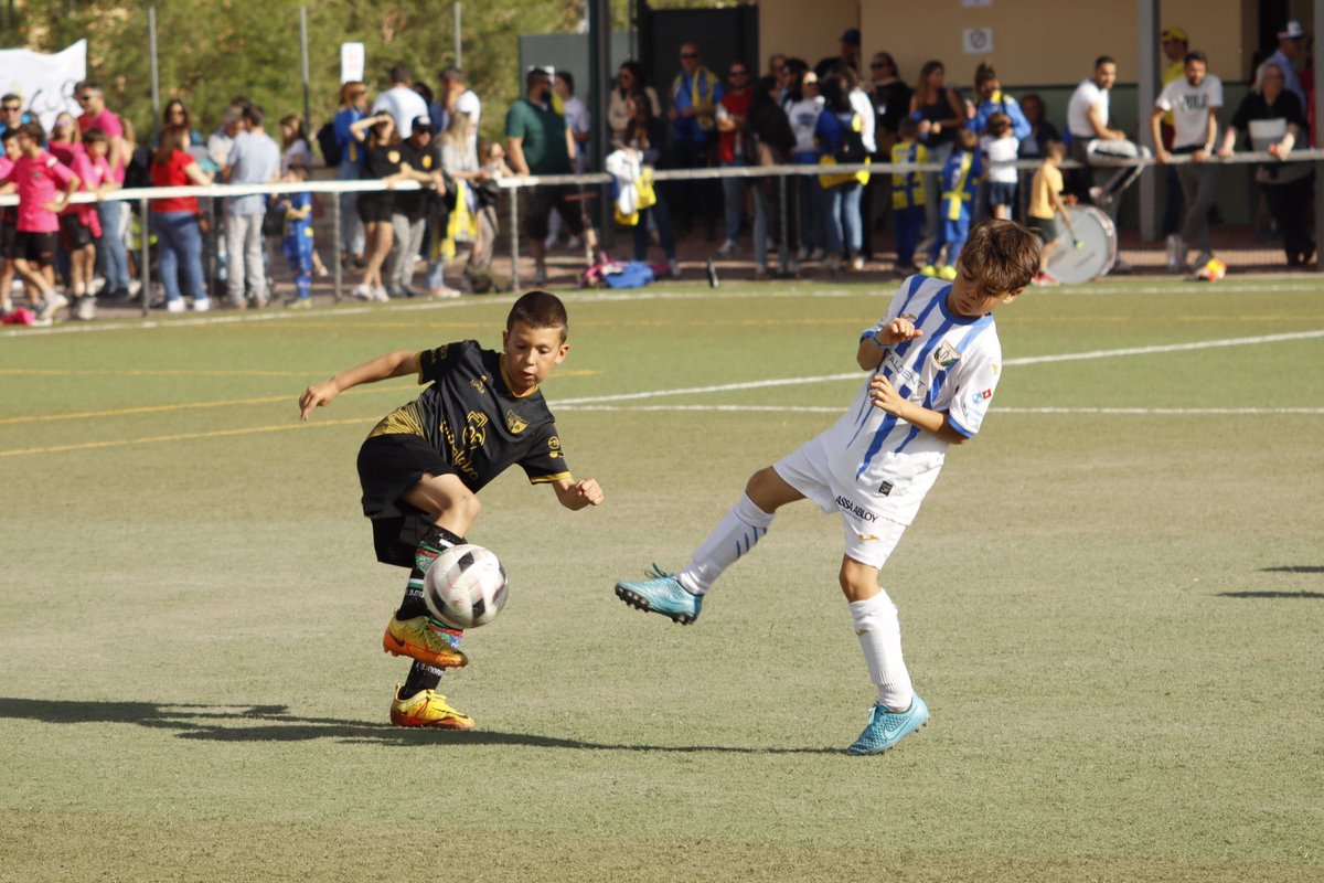 TORNEO| Real Sitio Cup Mucha suerte para nuestros equipos de la escuela que disputarán el torneo de la Real Sitio Cup en la Granja de San Ildefonso 💪🏼🥳🖤 ¡Vamos Morata! 📲 edmoratalaz.com/torneo-real-si… #vamosmorata