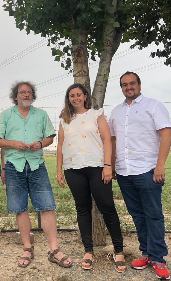 🔍 INVESTIGACIÓN | El grupo de investigación DIANA y la @UPM describen por primera vez cómo los olivos economizan el agua a través de unos “pelos” que poseen sus hojas. ¡Increíble avance en el #conocimientoumu! 🌿💧 ➕ i.mtr.cool/xgupwuuhco