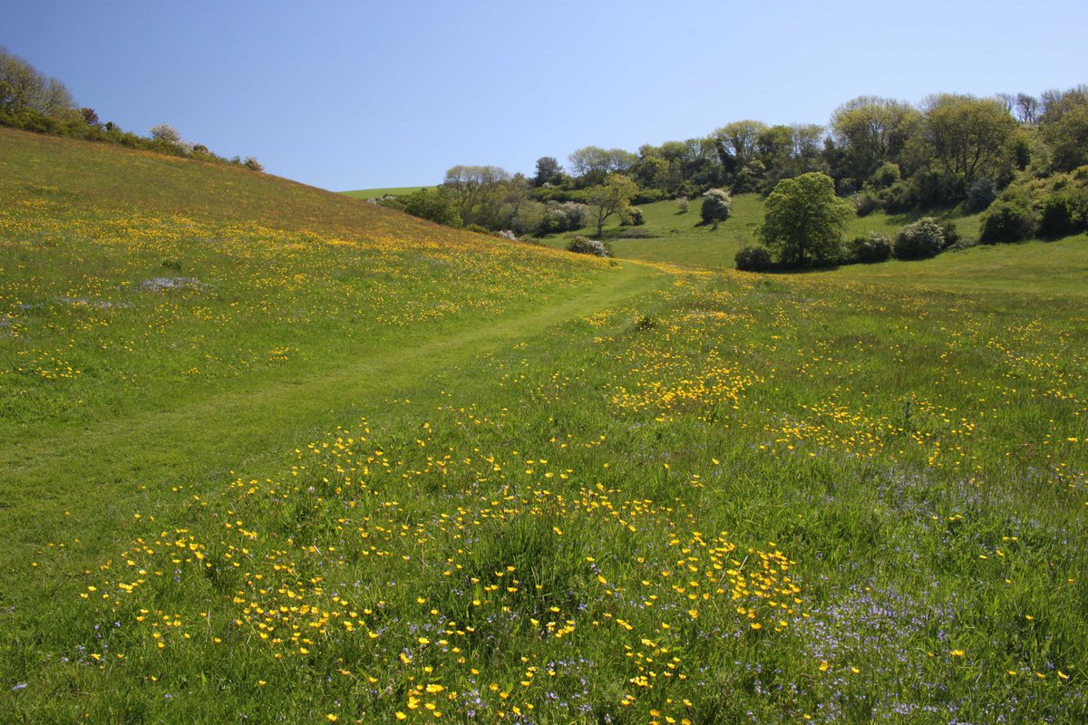 It's day 2 of #NationalWalkingMonth 🥾🌿 Fancy a beautiful walk across the countryside whilst learning about the history, flora and fauna of the area with an experienced guide? Look no further than 'Ups and Downs on the Downs'! For FREE tickets, visit: shorturl.at/hozF1